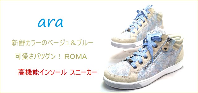 ara  アラ　トップ画像