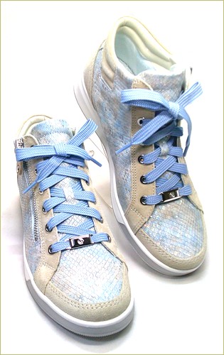 ara　アラ 　右画像