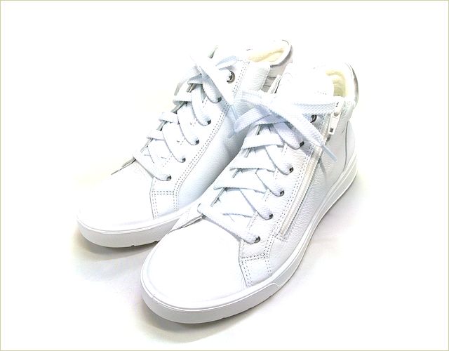 ara　アラ 　部分画像
