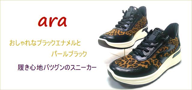 ara　アラ 　トップ画像