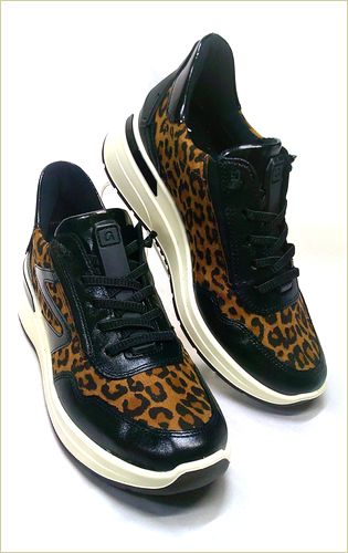 ara　アラ 　右画像