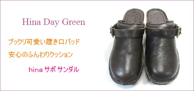 hina day green ヒナデイグリン hi6002dn ダークブラウン トップ画像